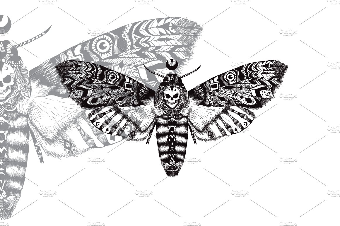 moth pr 3 579