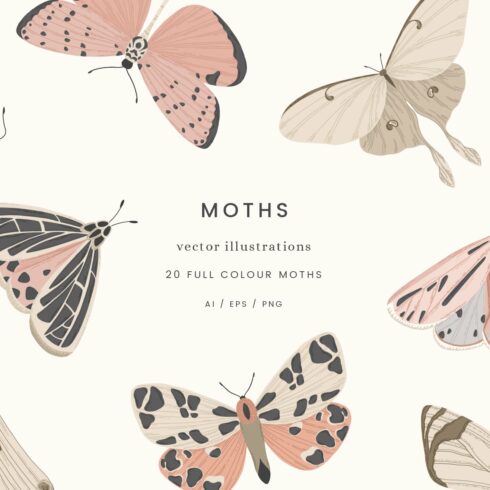Moths Vector Illustrations cover image.