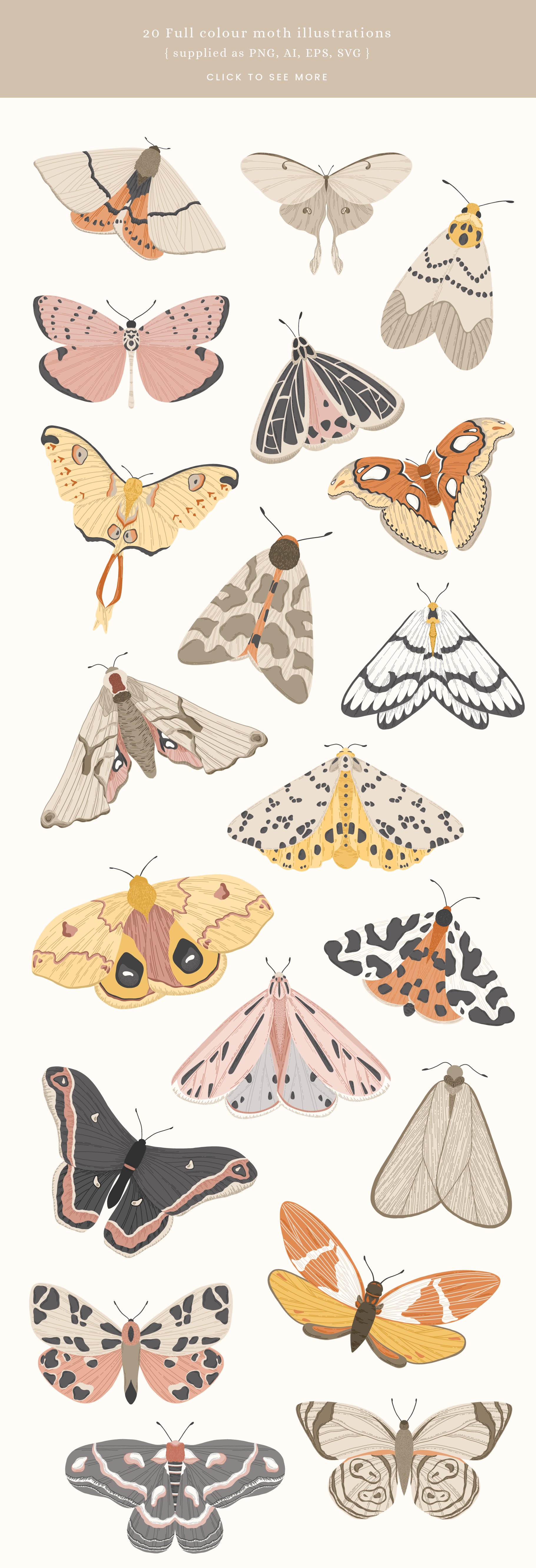Moths Vector Illustrations preview image.