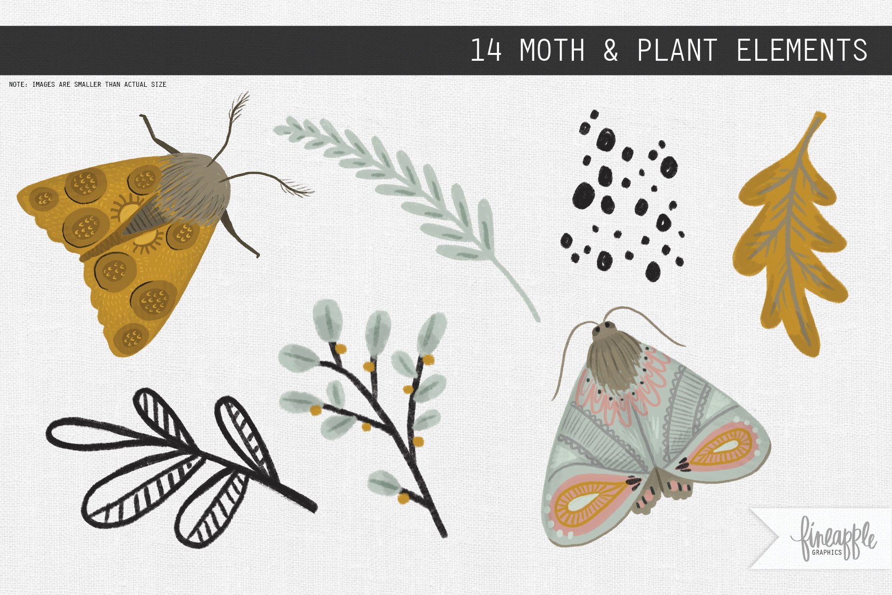 A MOTH GARDEN preview image.