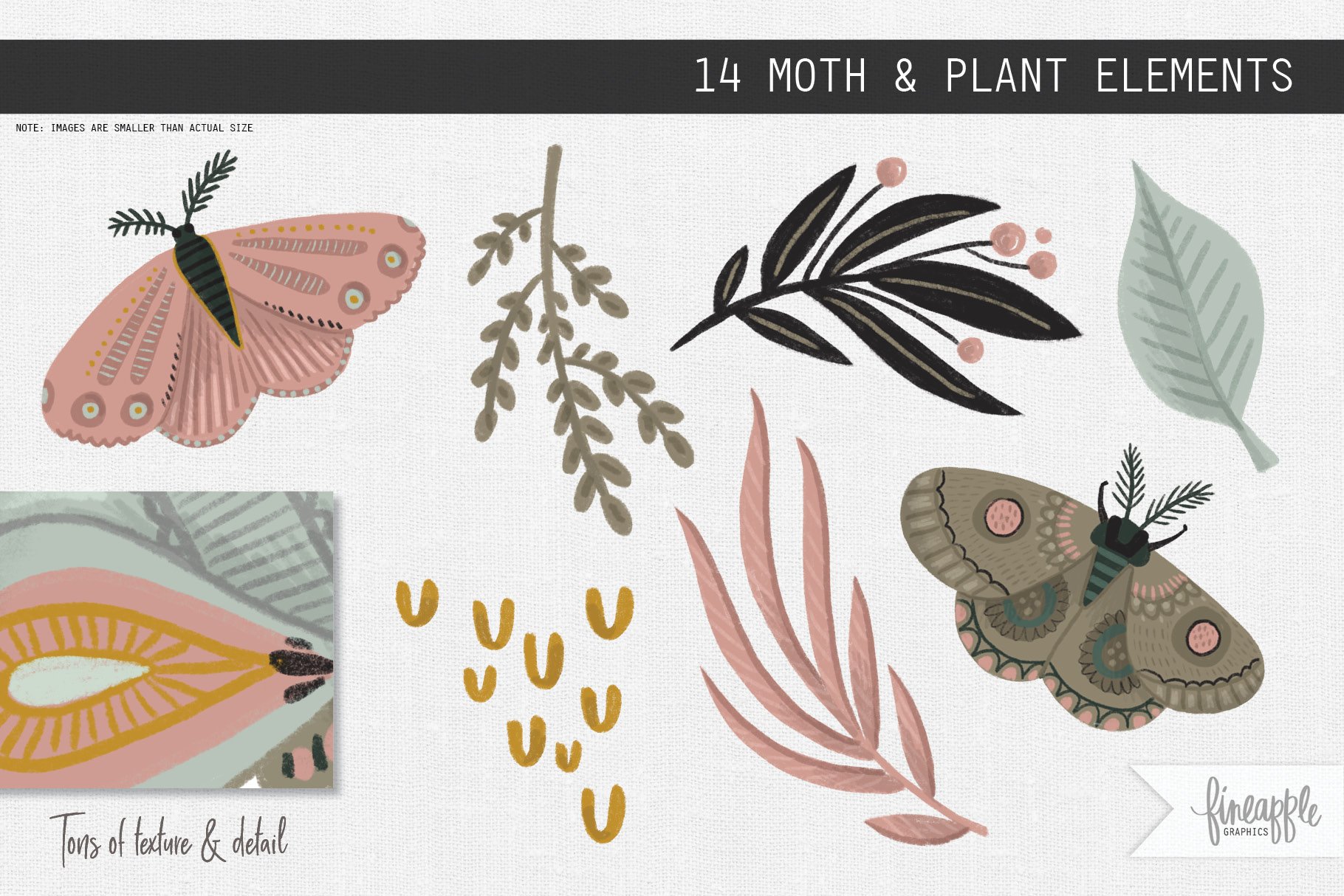 moths template3 241