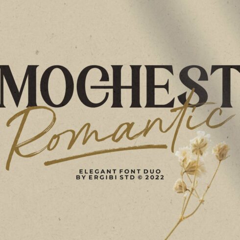Mochest Romantic - Elegant Font Duo cover image.