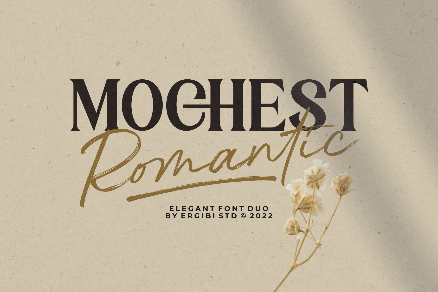 Mochest Romantic - Elegant Font Duo cover image.