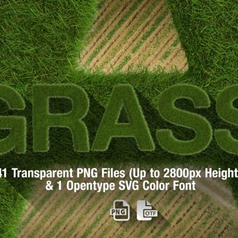Ms Grass Bitmap Font & PNGs cover image.