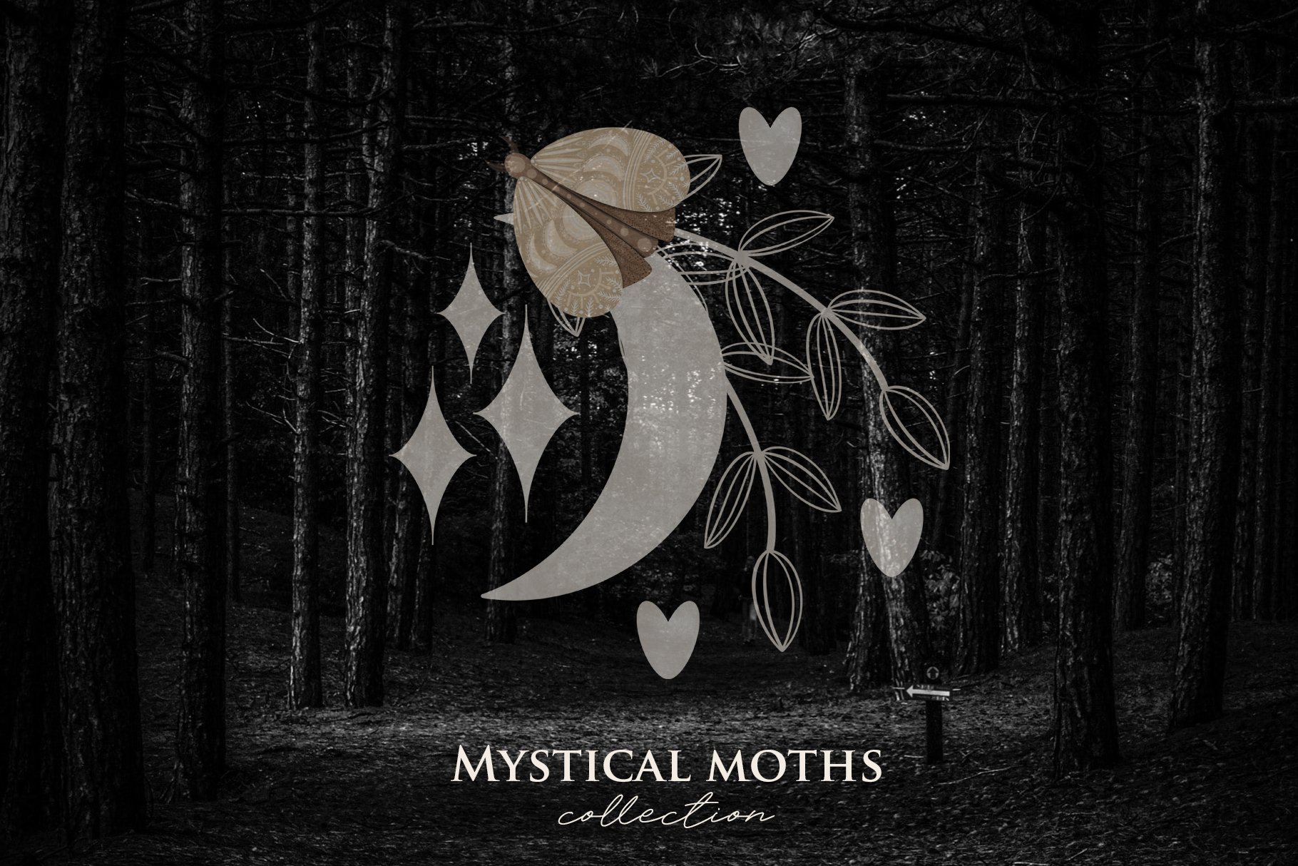 mysticmoths covercm 8 94