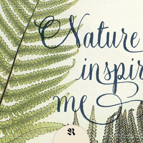 Natura Script cover image.