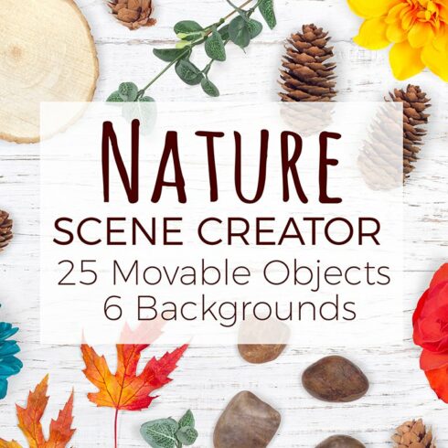 Nature Scene Creator - Top View cover image.