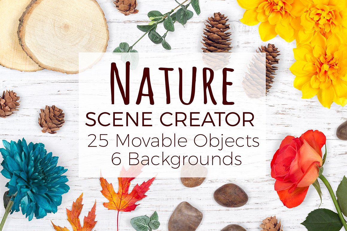 Nature Scene Creator - Top View cover image.