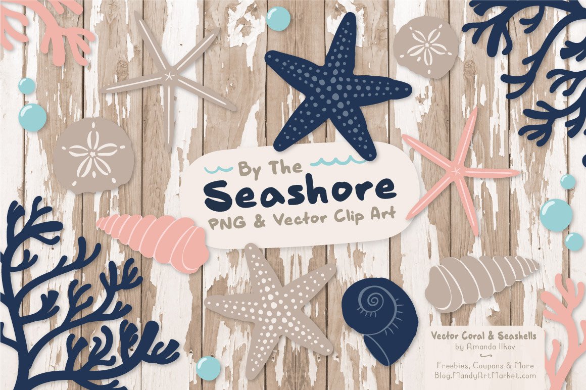 Seashells Clipart in Navy & Blush preview image.