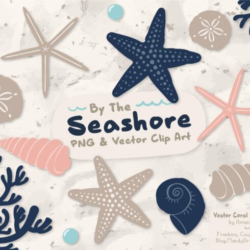 Seashells Clipart in Navy & Blush cover image.