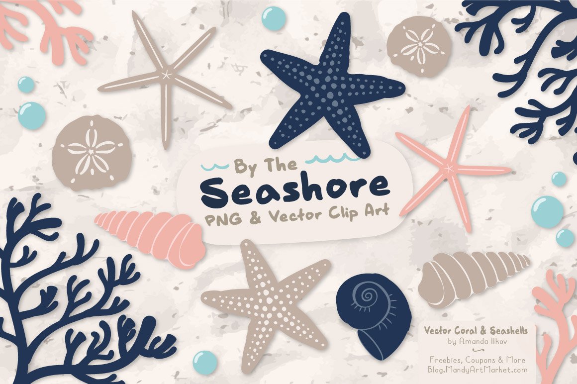 Seashells Clipart in Navy & Blush cover image.