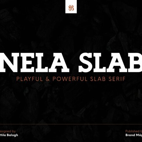 Nela Slab - Playful & Powerful Slab cover image.