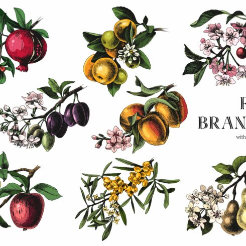 Fruit branches cover image.