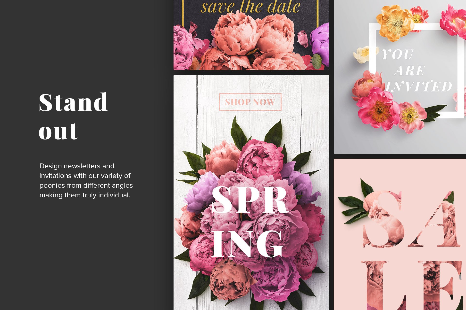 newsletters floral peonies collection customscene 13
