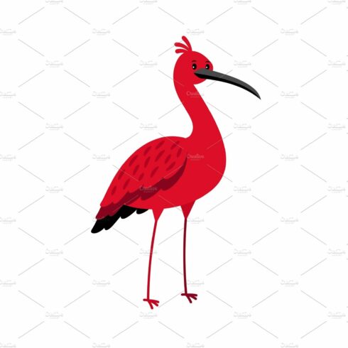 Ibis red bird cartoon icon cover image.
