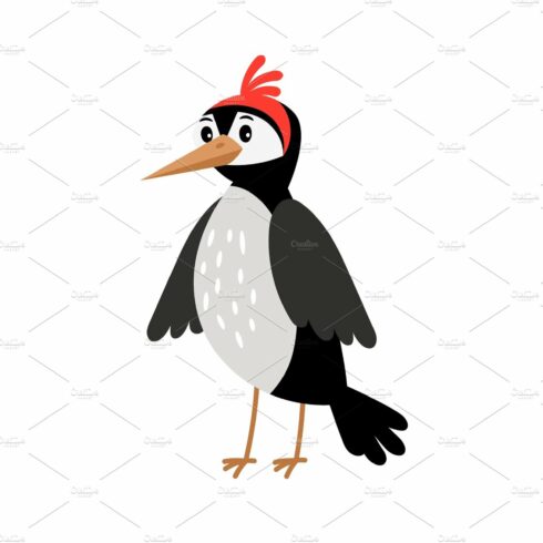 Woodpecker cartoon bird cover image.