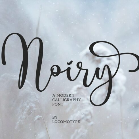 Noiry cover image.