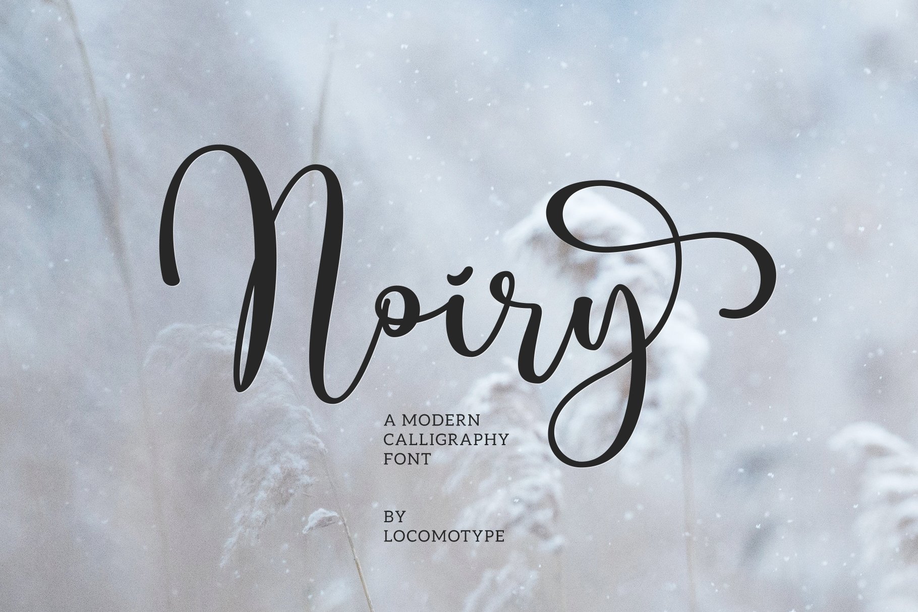 Noiry cover image.