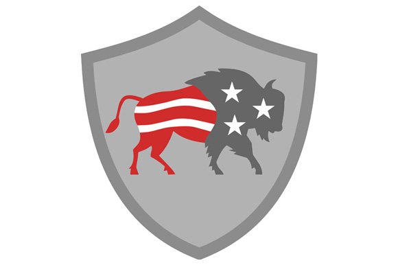 North American Bison USA Flag cover image.