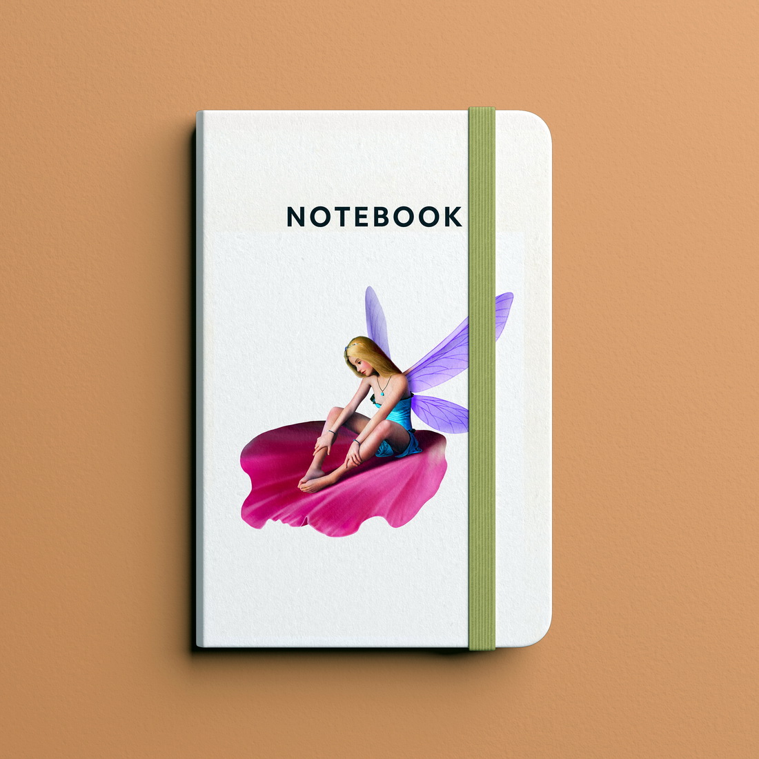 notebook1 579