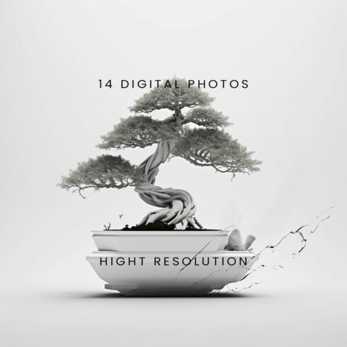 14 Digital Photos - Bonsai Tree cover image.