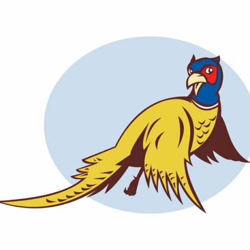 Cartoon Pheasant bird flying cover image.