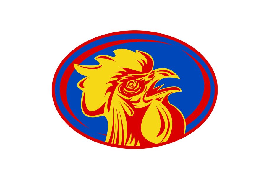rugby rooster sports mascot france cover image.