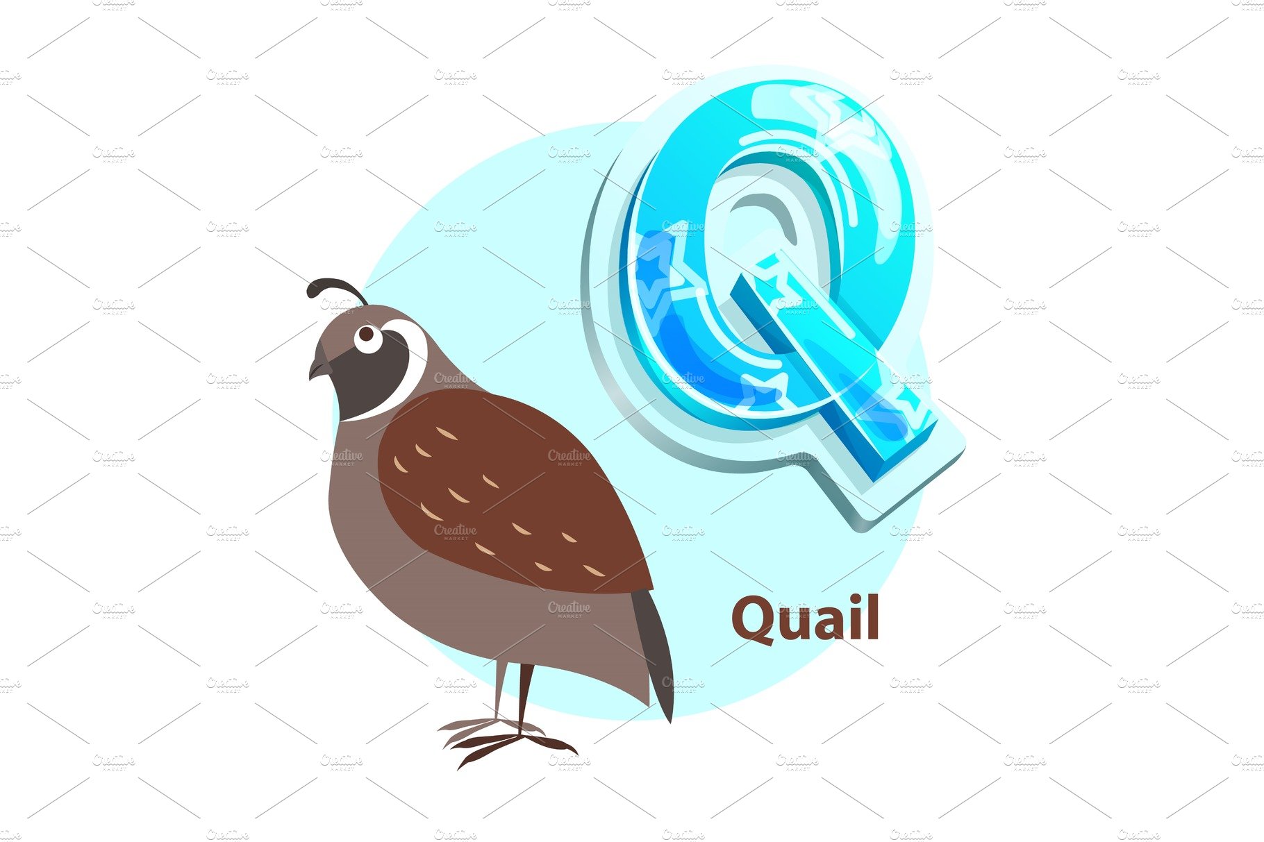 Q Letter with Quail Bird for cover image.