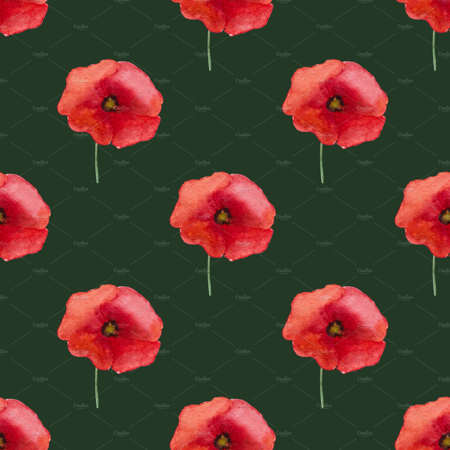 Beautiful picture of poppy flowers. Happy Remembrance Day cover image.