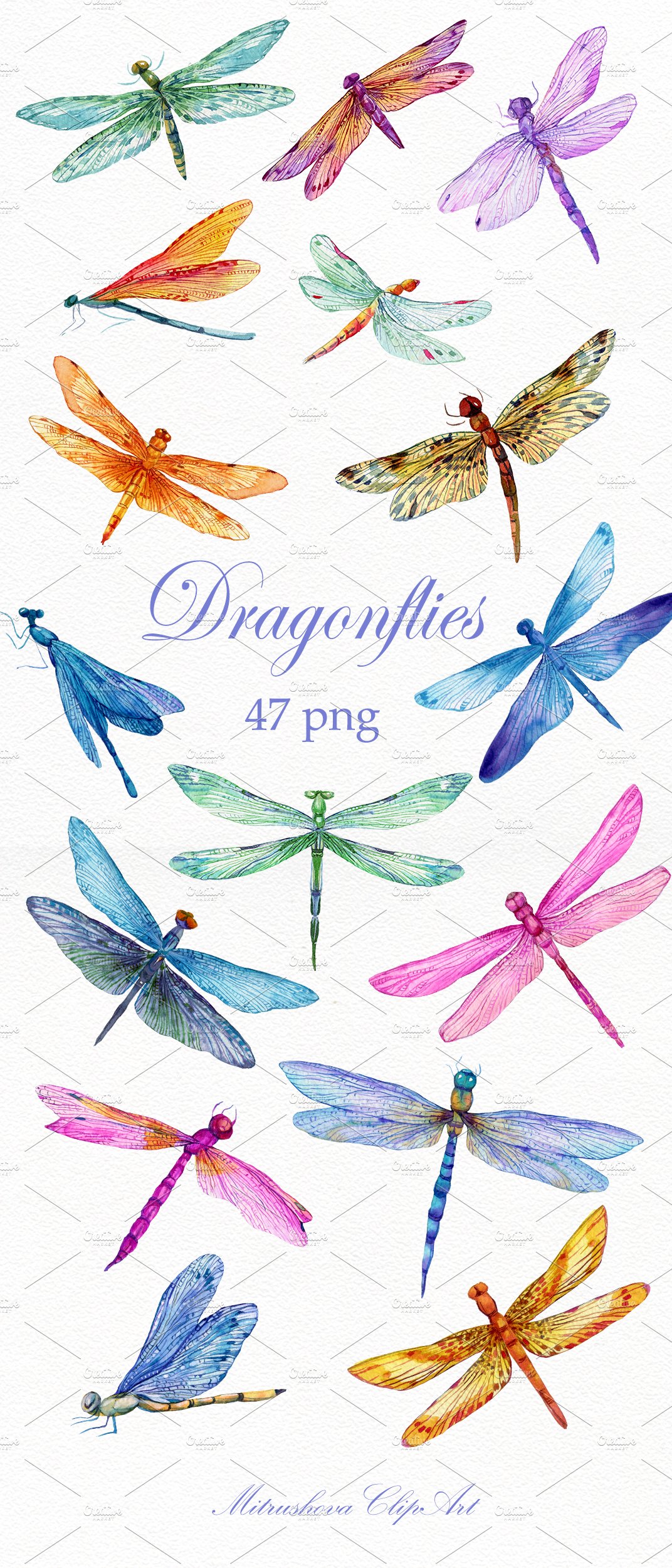 Dragonfly 47 PNG Watercolor Insects preview image.