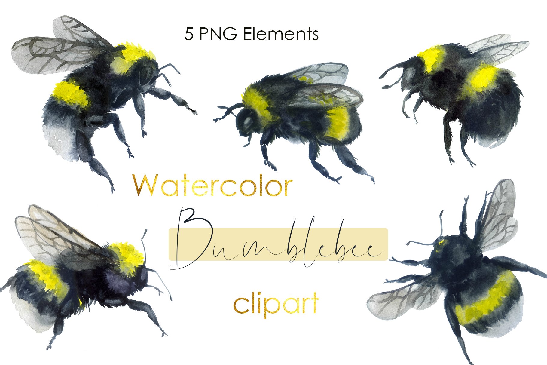 Watercolor bee Clipart. Bumble bee cover image.