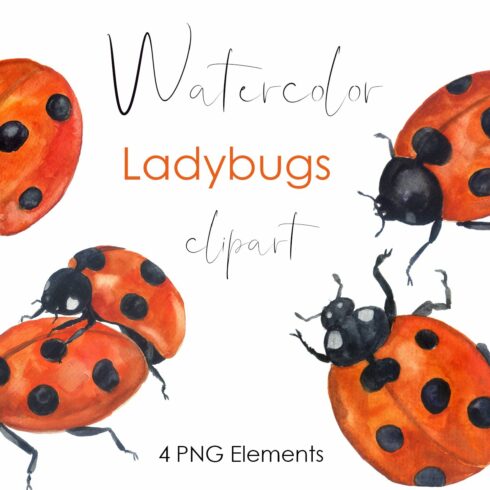 Watercolor clipart Insect collection cover image.