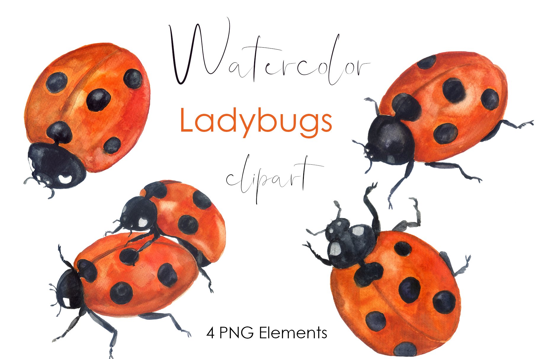 Watercolor clipart Insect collection cover image.