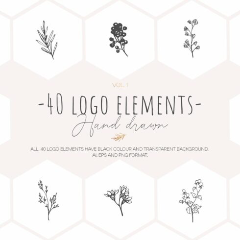 Hand drawn floral logo elements cover image.