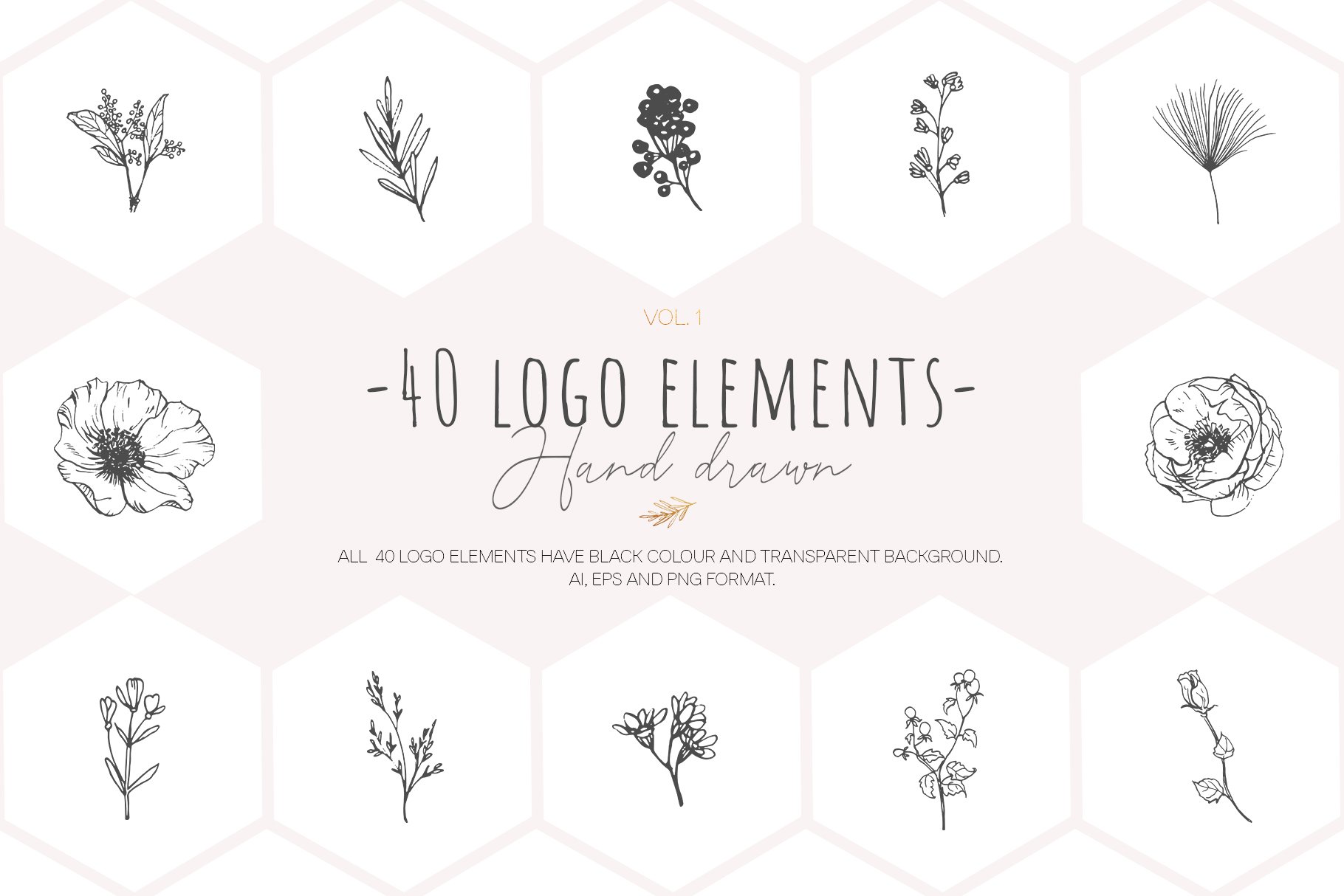 Hand drawn floral logo elements cover image.