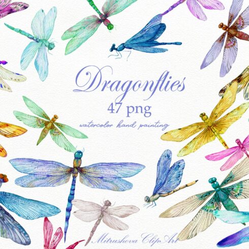 Dragonfly 47 PNG Watercolor Insects cover image.