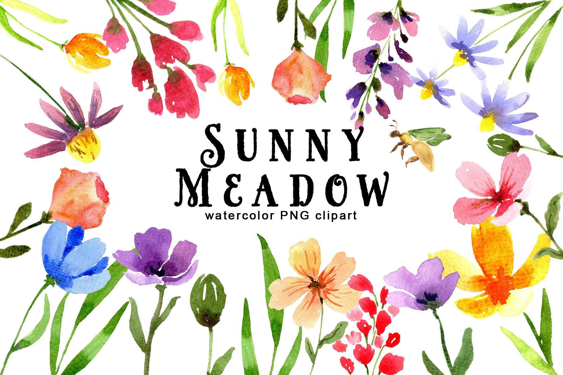 Sunny Meadow cover image.
