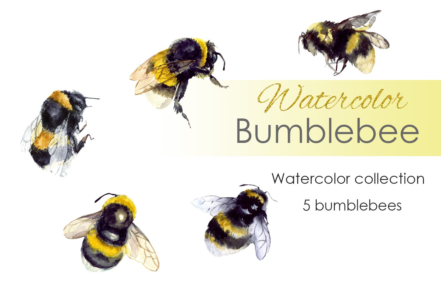 Watercolor Clipart. Bumble Bee art cover image.