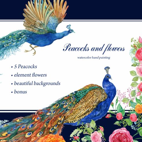 Peacocks and flowers/watercolor cover image.