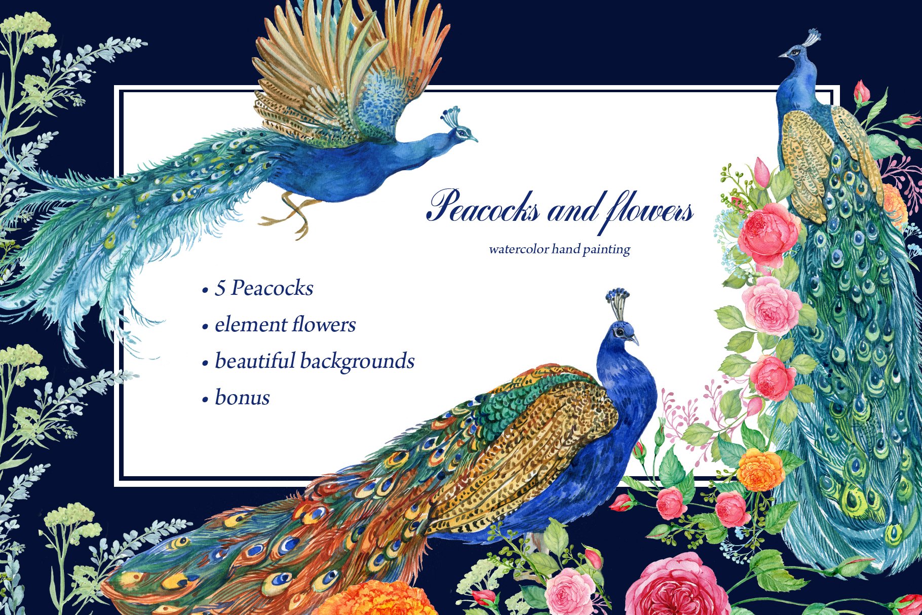 Peacocks and flowers/watercolor cover image.