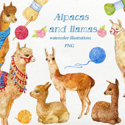Alpacas and llamas .watercolor cover image.