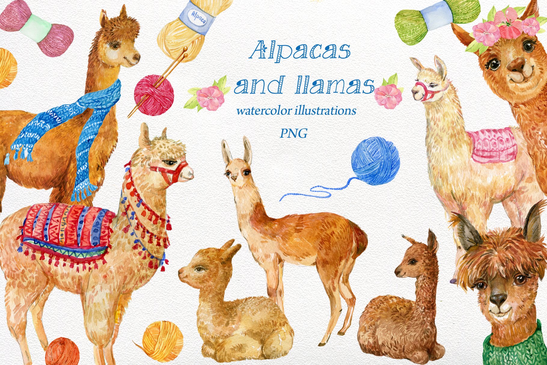 Alpacas and llamas .watercolor cover image.
