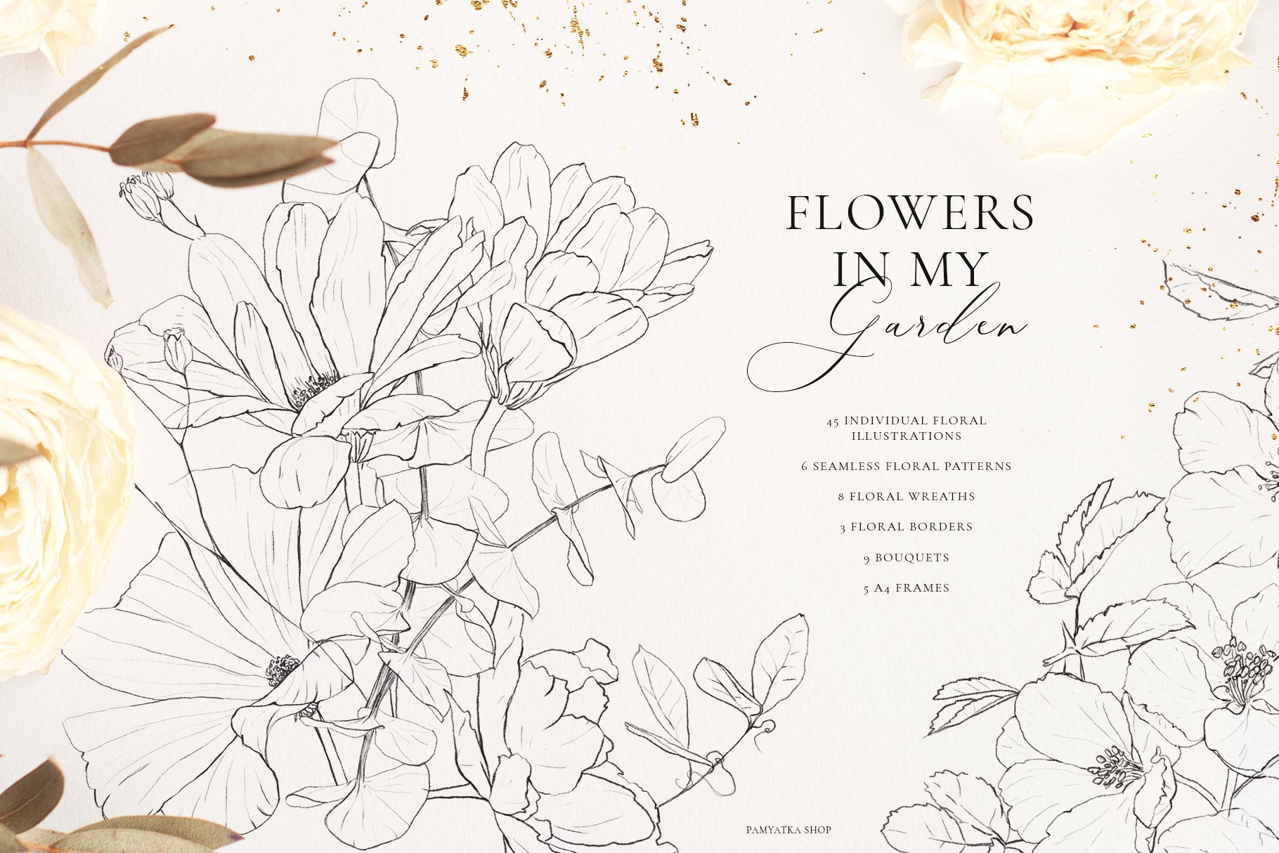 Wildflowers-Pencil sketch collection cover image.