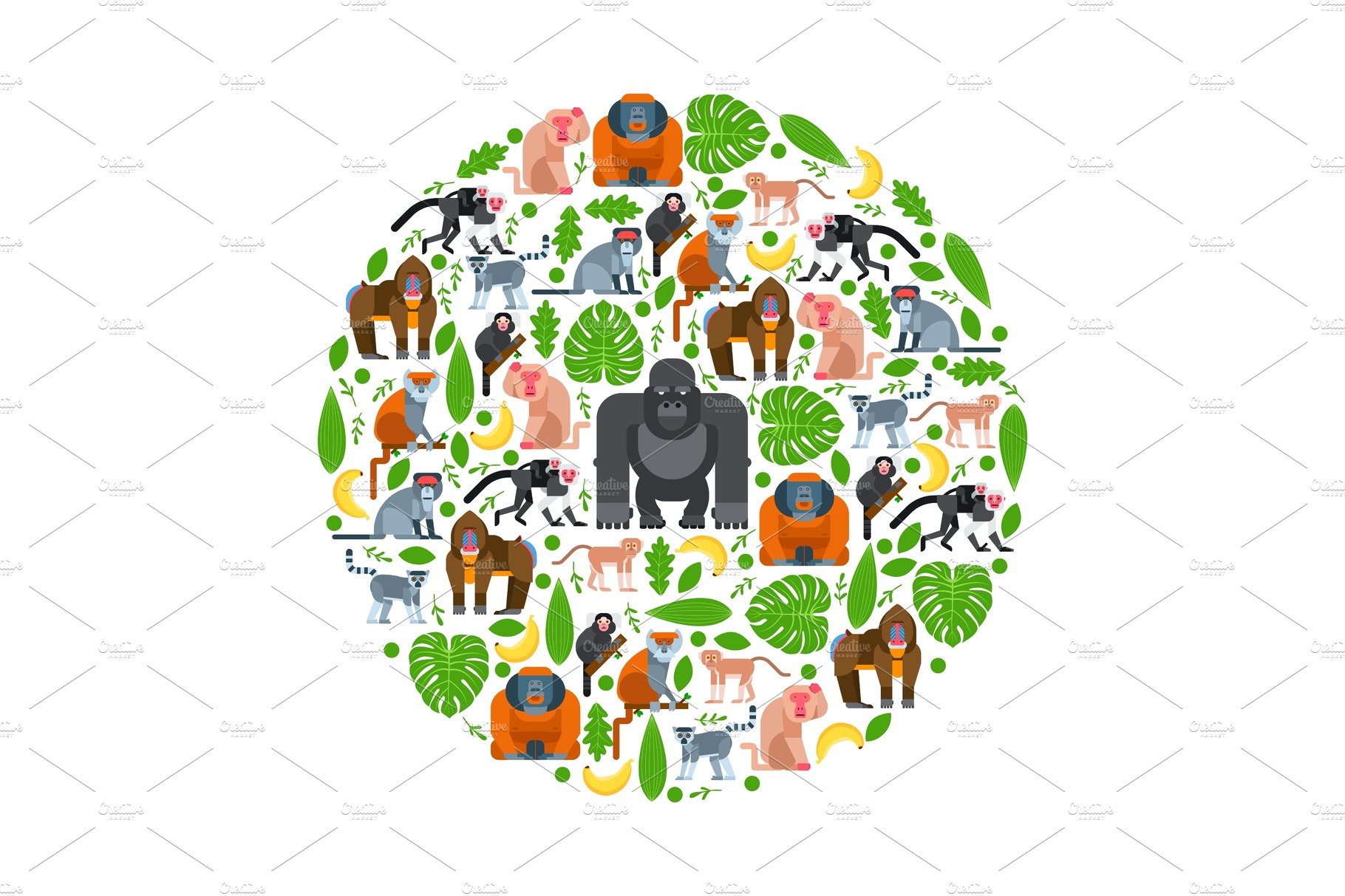 Tropical apes and monkeys in round cover image.