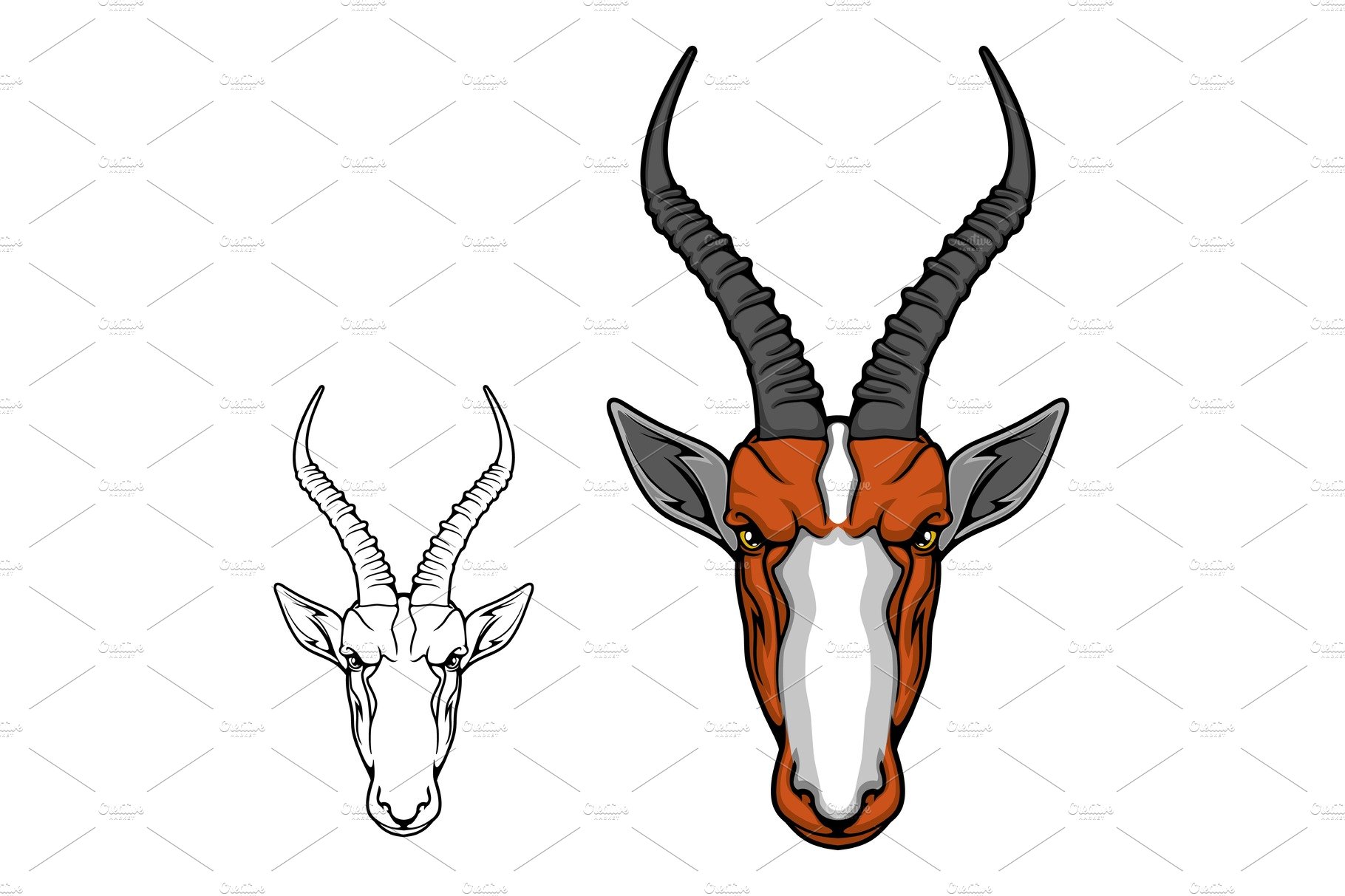 African antelope Impala head cover image.