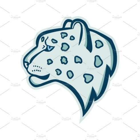 Snow leopard logo mascot. Snow leopard head isolated vector illustration cover image.