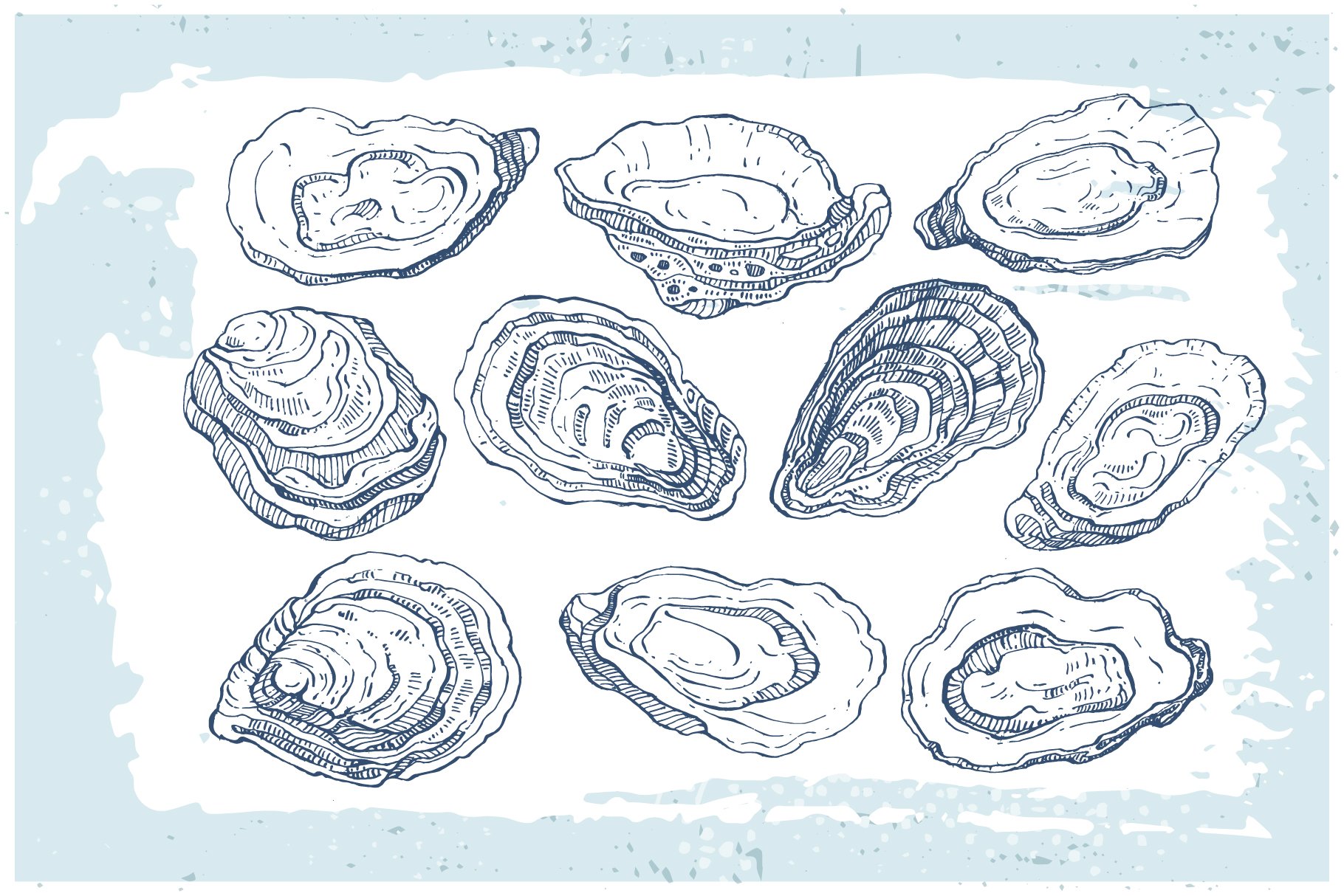 Oysters sketch ink drawing preview image.