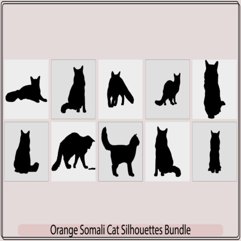 Orange somali cat silhouette,Orange somali cat silhouette bundle,Orange somali cat illustration, cover image.