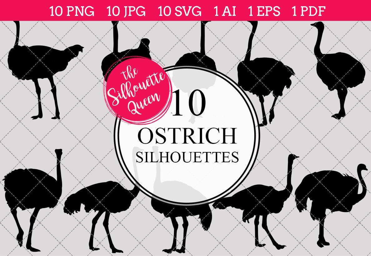 Ostrich Silhouette Vector Graphics cover image.