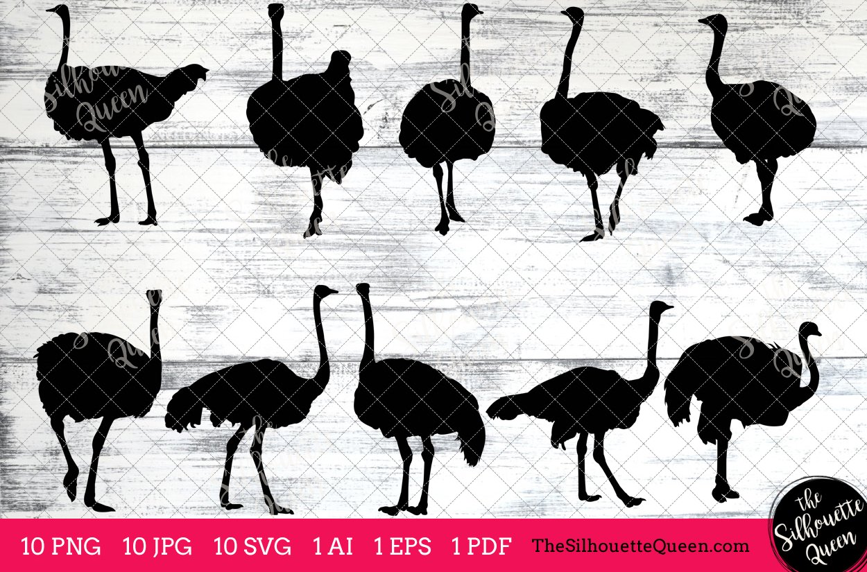 Ostrich Silhouette Vector Graphics preview image.